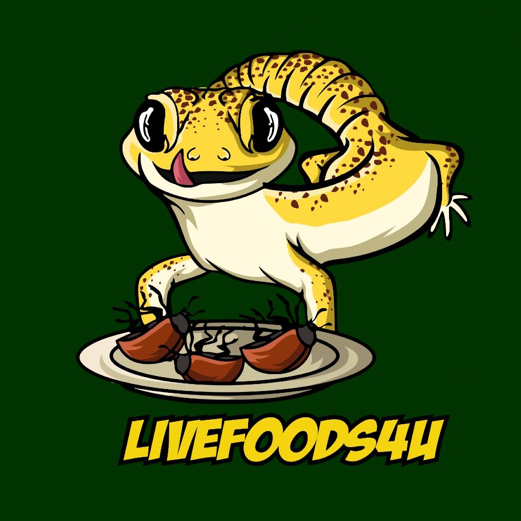 LF4U's Quality Controller