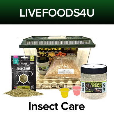 Insect Care