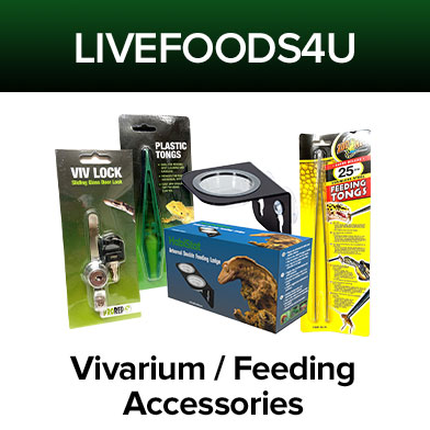 Vivarium / Feeding Accessories